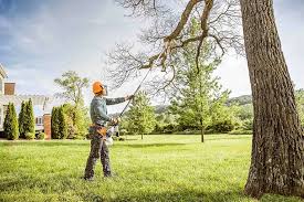 Best Tree and Shrub Care  in Barker Heights, NC