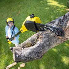 Best Arborist Consultation Services  in Barker Heights, NC