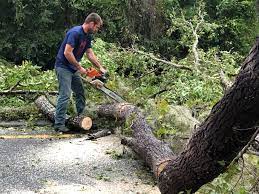 Best Tree Maintenance Programs  in Barker Heights, NC