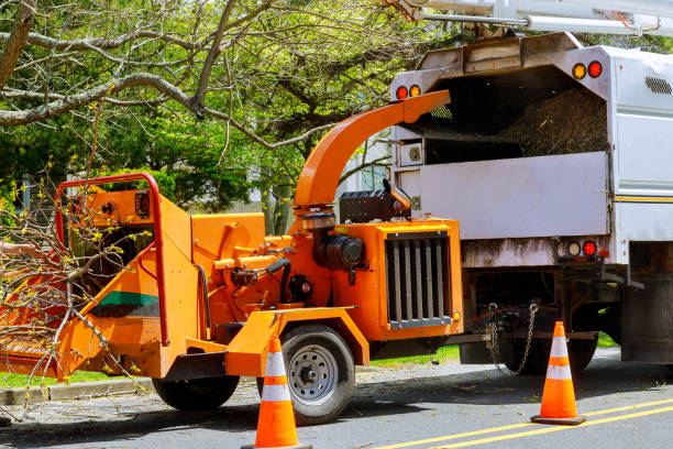 Best Commercial Tree Services  in Barker Heights, NC