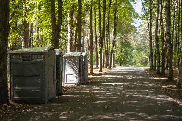 Best Root Management and Removal  in Barker Heights, NC